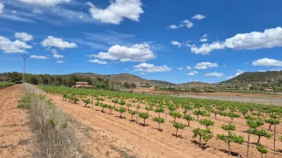 Terreno en venta en El Pinós - Pinoso - Vista 3