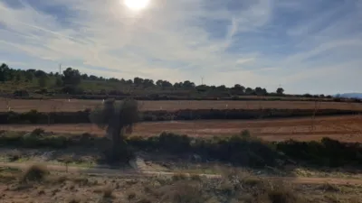 Terreno en venta en El Pinós - Pinoso - Vista 5