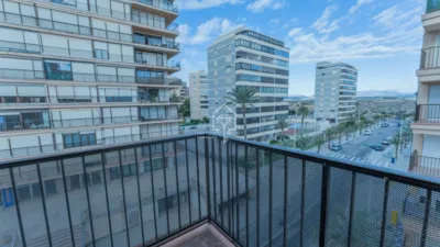 Apartment in Los Arenales del Sol photo 15