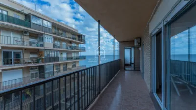 Apartment in Los Arenales del Sol photo 16