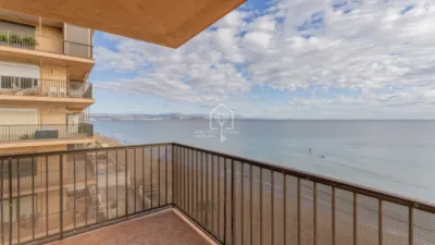 Apartment in Los Arenales del Sol photo 37