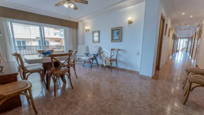 Apartment in Los Arenales del Sol photo 9