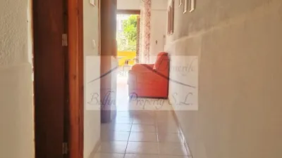 Apartment in Acantilado de los Gigantes photo 24