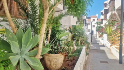 Apartment in Acantilado de los Gigantes photo 26