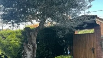 House in Castelldefels photo 2