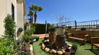 Apartment in Algorfa photo 27