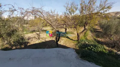 Rustic finca in Albox photo 13