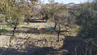 Rustic finca in Albox photo 3