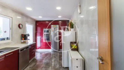 House in Calicanto photo 11