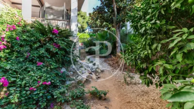 House in Calicanto photo 28