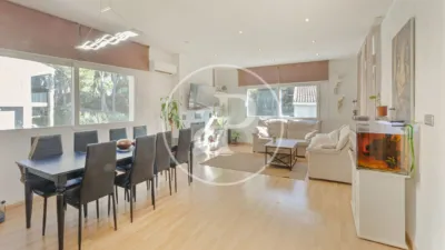 House in Calicanto photo 3