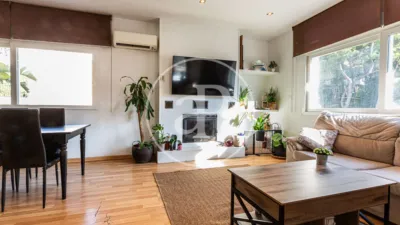 House in Calicanto photo 4