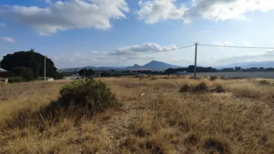 Terreno en venta en Sax - Más