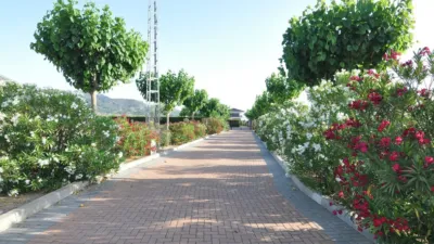 Casa – Villena, l'Alt Vinalopó / El Alto Vinalopó - Vista 4