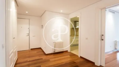 Apartment in El Pla del Remei photo 11