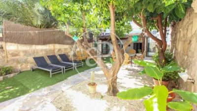 Apartment in Santa Catalina photo 17
