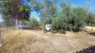 Rustic Finca in Cabra photo 11