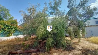 Rustic Finca in Cabra photo 14