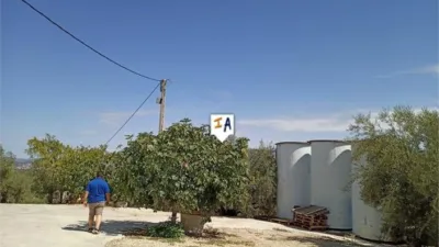 Rustic Finca in Cabra photo 15