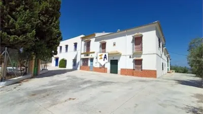 Rustic Finca in Cabra photo 16