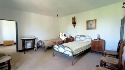 Rustic Finca in Cabra photo 7