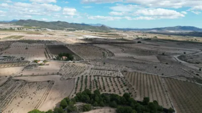 Terreno en venta en El Pinós - Pinoso - Vista 2