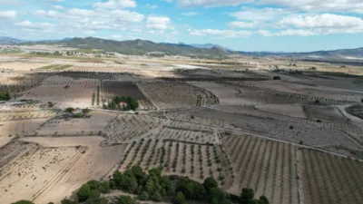 Terreno en venta en El Pinós - Pinoso - Vista 3