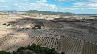 Terreno en venta en El Pinós - Pinoso - Vista 4