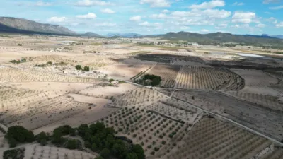 Terreno en venta en El Pinós - Pinoso - Vista 5