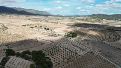 Terreno en venta en El Pinós - Pinoso - Más