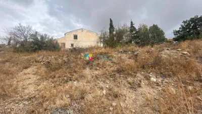 Rustic finca in Albox photo 23