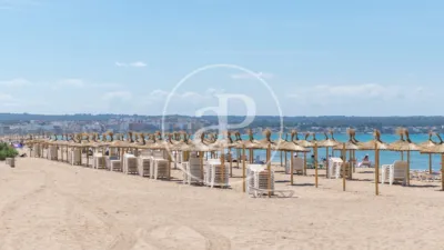 Apartment in Palma de Mallorca photo 29