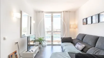 Apartment in Palma de Mallorca photo 5