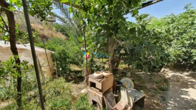 Finca rústica en Huércal-Overa photo 36