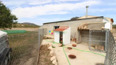 Rustic Finca in Oria photo 17