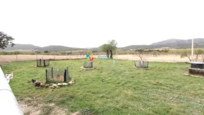 Rustic Finca in Oria photo 21