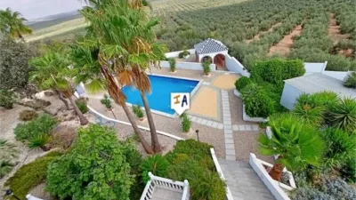 House in Herrera photo 4