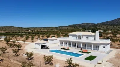 House in El Pinós - Pinoso photo 21