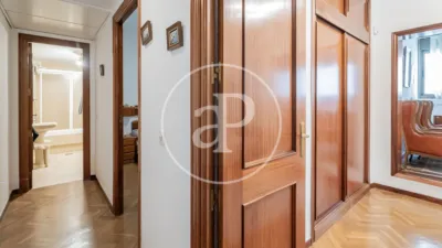 Apartment in Palacio photo 19