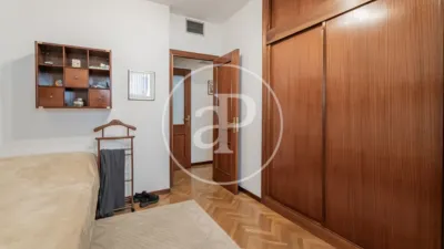 Apartment in Palacio photo 20