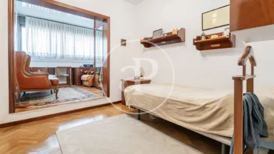 Apartment in Palacio photo 21