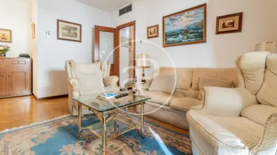 Apartment in Palacio photo 2