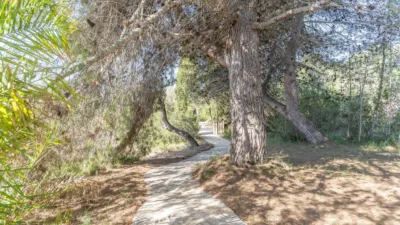 Finca rústica en venta en Son Servera, Son Servera de 795.000 €