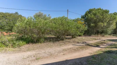 Finca rústica en venta en Son Servera, Son Servera de 795.000 €
