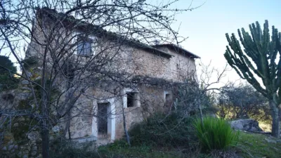 Rustic Finca in Sóller photo 13