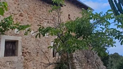 Rustic Finca in Sóller photo 16