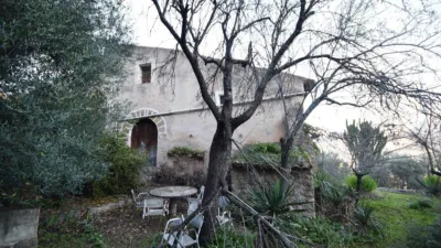 Rustic Finca in Sóller photo 2