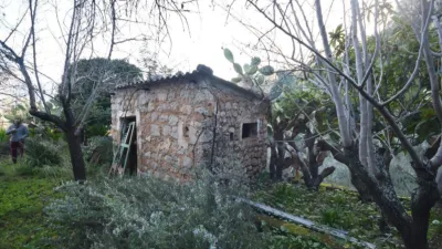 Rustic Finca in Sóller photo 3