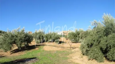 Chalet en Martos photo 7
