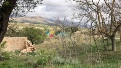 Rustic Finca in Chirivel photo 12